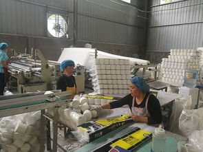 在家生产加工卫生纸的可行性与设备指南